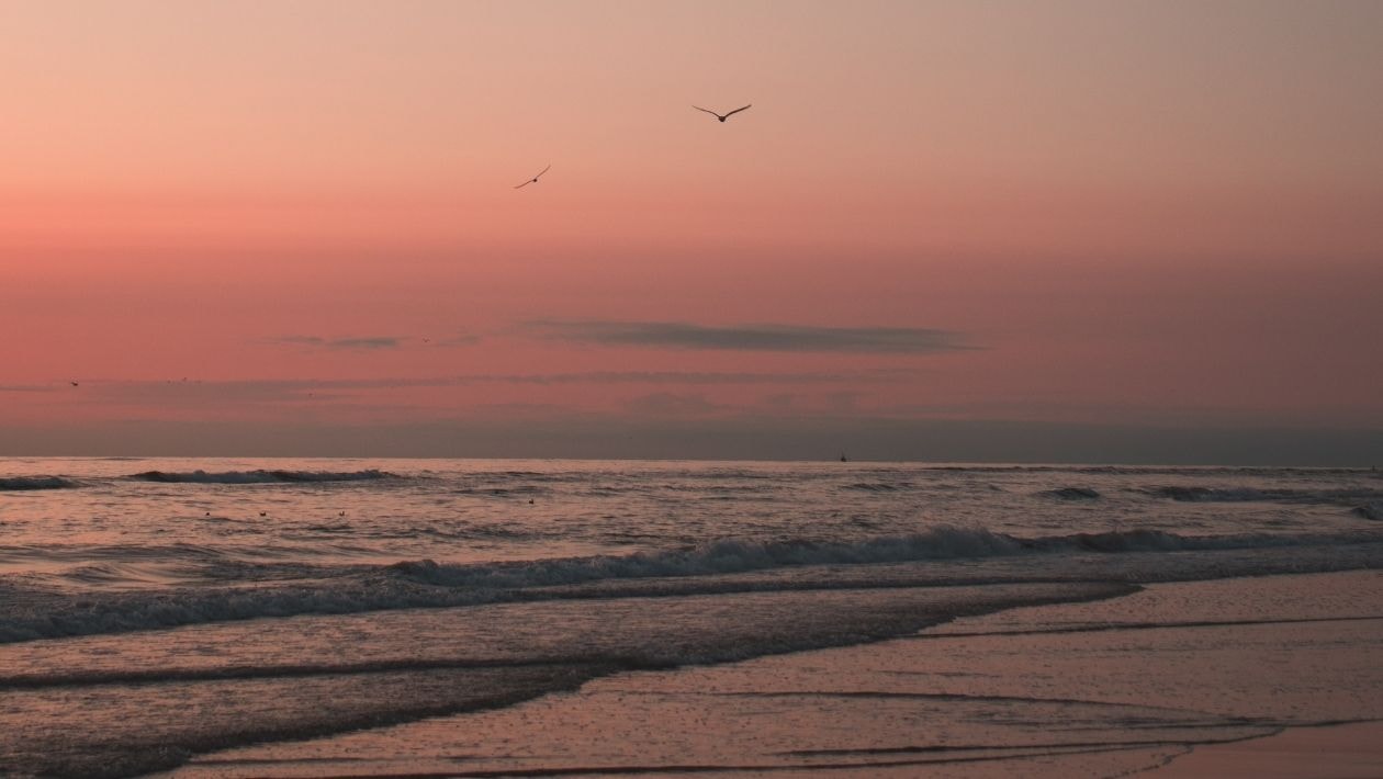 Coucher de soleil sur la mer