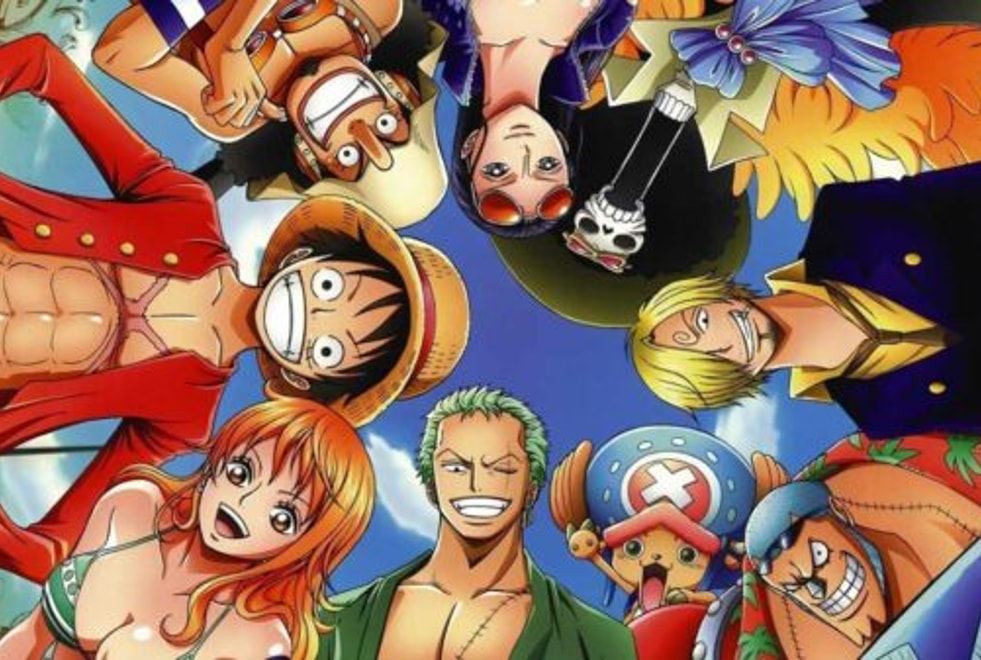 Sondage : as-tu les mêmes goûts que les autres fans de One Piece ?