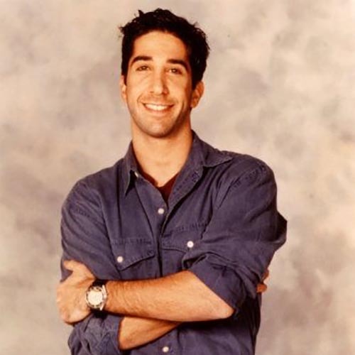 David Schwimmer (Friends)