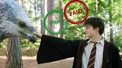 Harry Potter : seul un vrai fan aura 10/10 à ce quiz vrai ou faux sur les créatures magiques