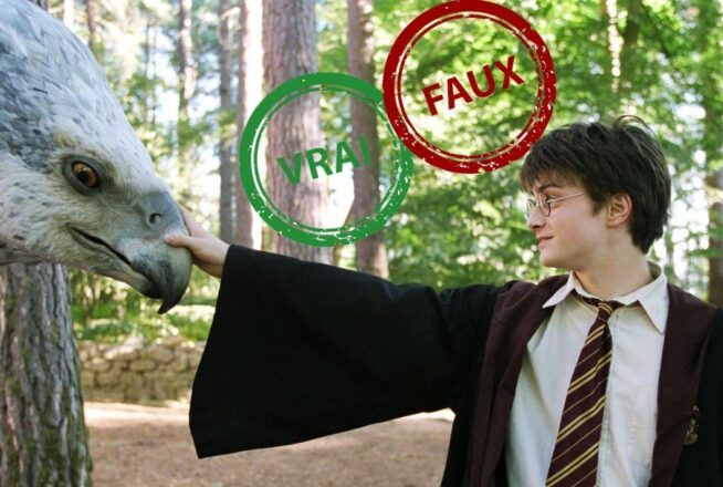 Harry Potter : seul un vrai fan aura 10/10 à ce quiz vrai ou faux sur les créatures magiques