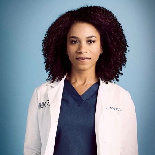 Maggie Pierce (Grey's Anatomy)