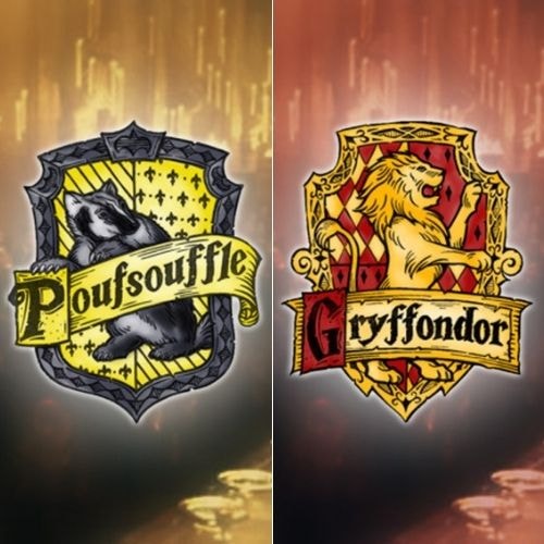 Un mix entre Gryffondor et Poufsouffle 