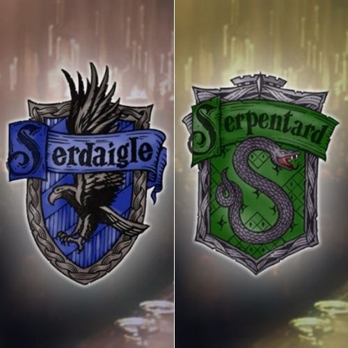 Tu hésites entre Serpentard et Serdaigle