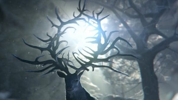 Cerf Shadow and Bone