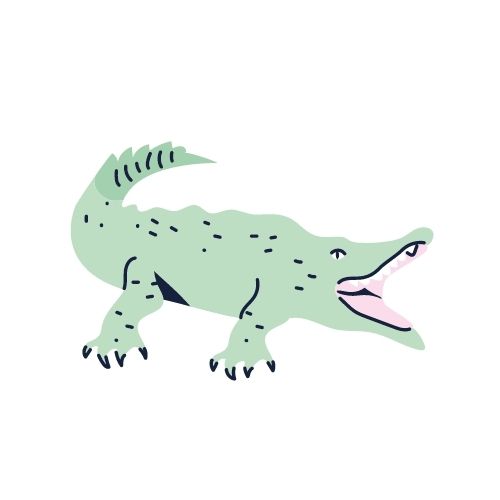 Un crocodile 
