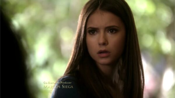 elena the vampire diaries