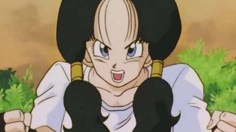 Videl