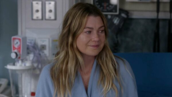 grey's anatomy, 17x15 questions bêtes