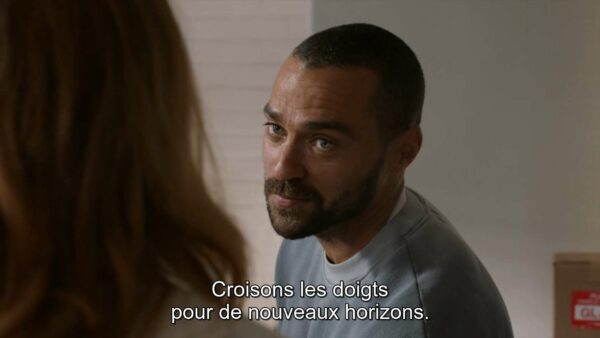 grey's anatomy, 17x14 questions bêtes