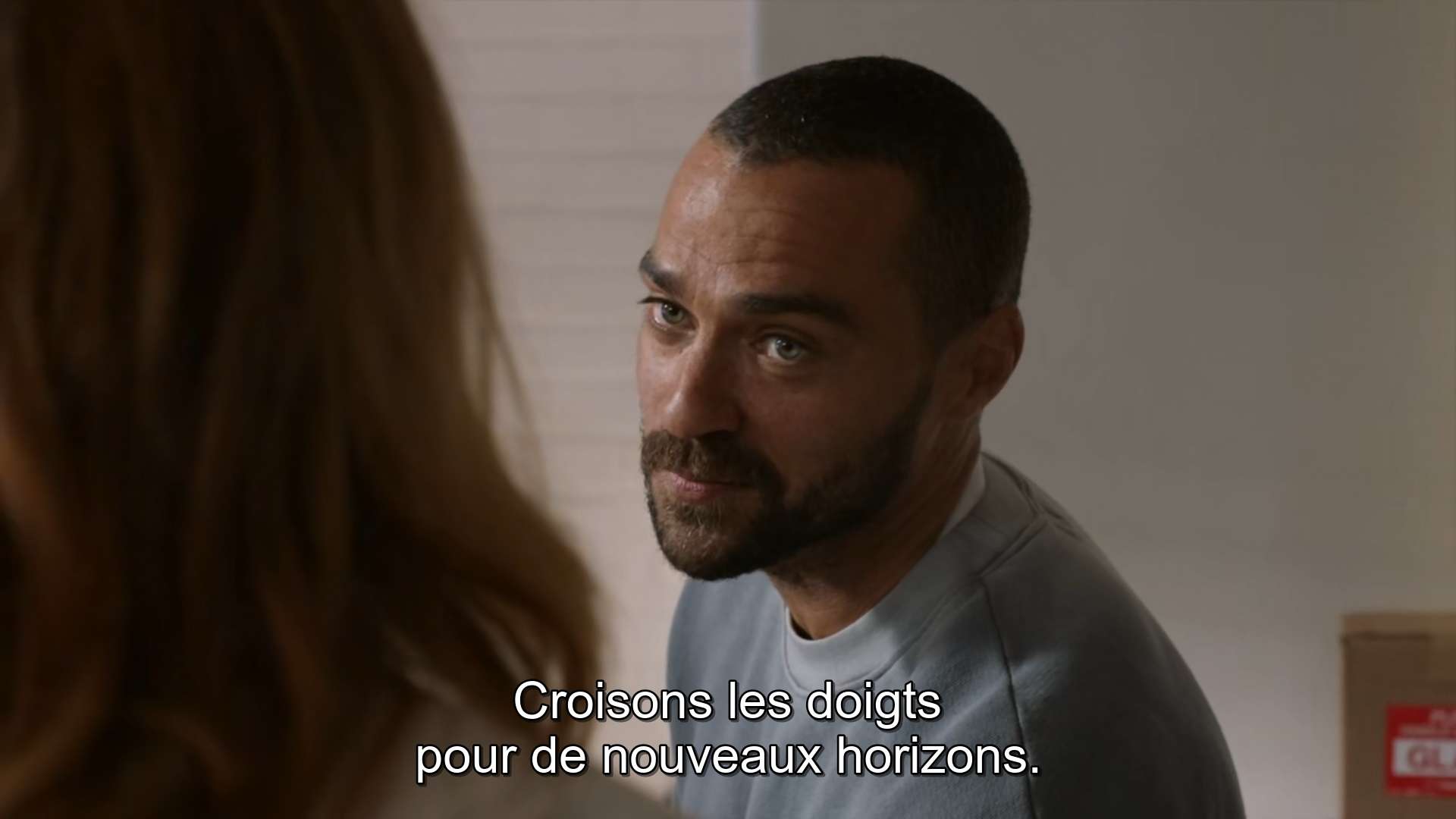 grey's anatomy, 17x14 questions bêtes
