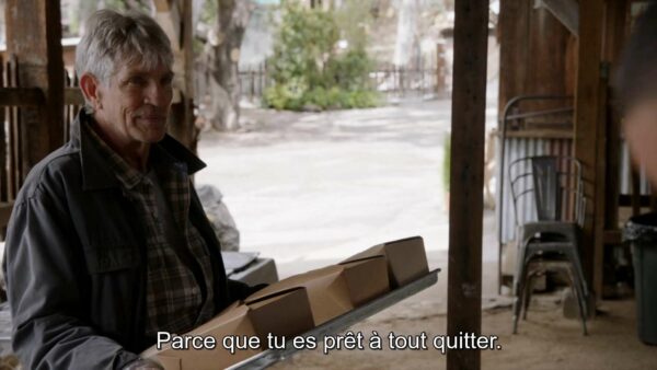 grey's anatomy, 17x14 questions bêtes