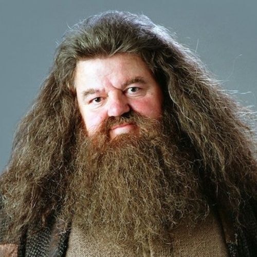 Hagrid