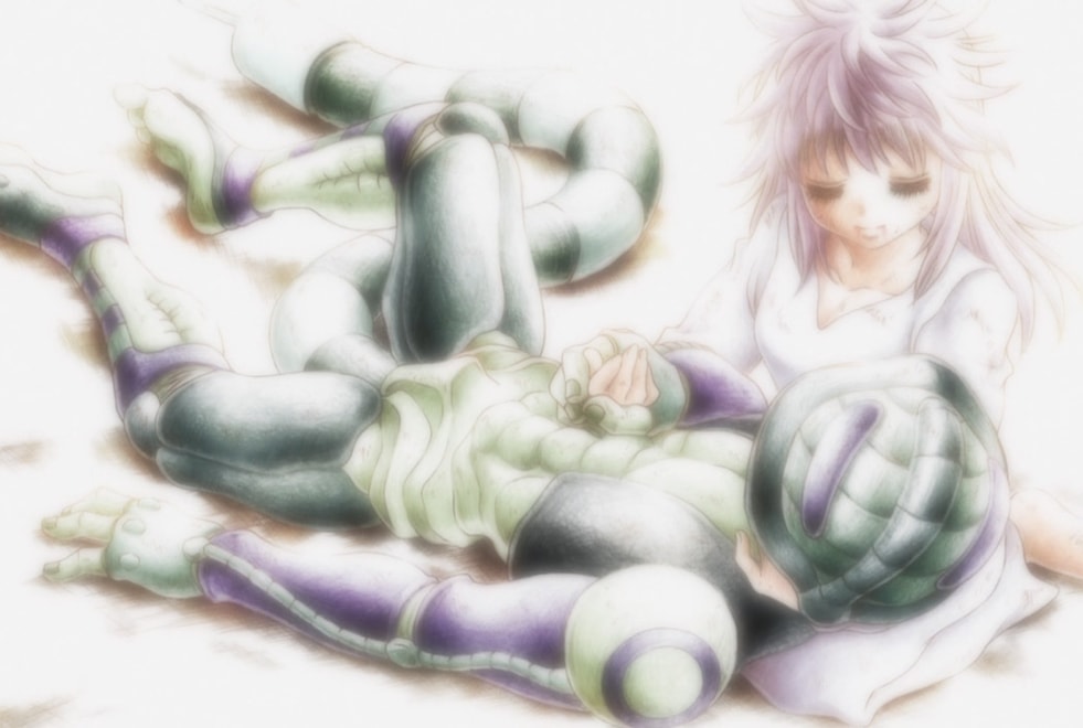 Hunter x Hunter : cette scène déchirante de l’arc Chimera Ant qui n’est pas disponible sur Netflix