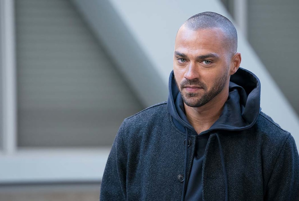 Grey’s Anatomy : Jesse Williams a retrouvé une nouvelle série et un rôle très différent de Jackson