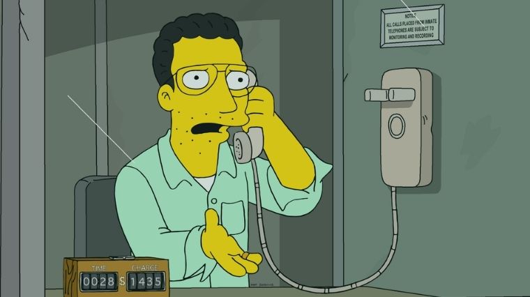 Les Simpson Mob Lawyer