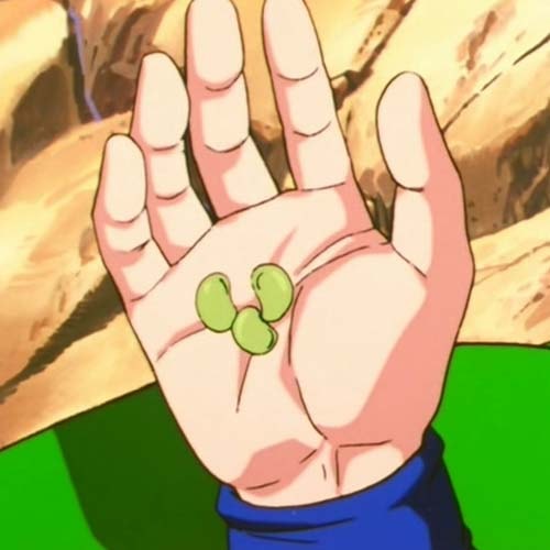 Tu prends un Senzu