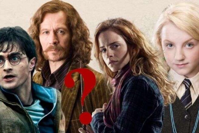 Quiz : sauras-tu relier la baguette au bon personnage de Harry Potter ?