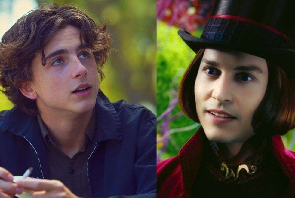 Timothée Chalamet jouera Willy Wonka dans un film dérivé de Charlie et la Chocolaterie