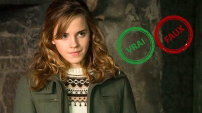 Harry Potter : impossible d'avoir 10/10 à ce quiz vrai ou faux sur Hermione Granger