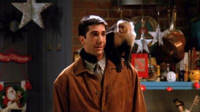 Friends : seul quelqu'un qui a vu 5 fois l'épisode de l'arrivée de Marcel aura tout bon à ce quiz