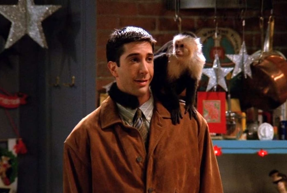 Friends : seul quelqu’un qui a vu 5 fois l’épisode de l’arrivée de Marcel aura tout bon à ce quiz