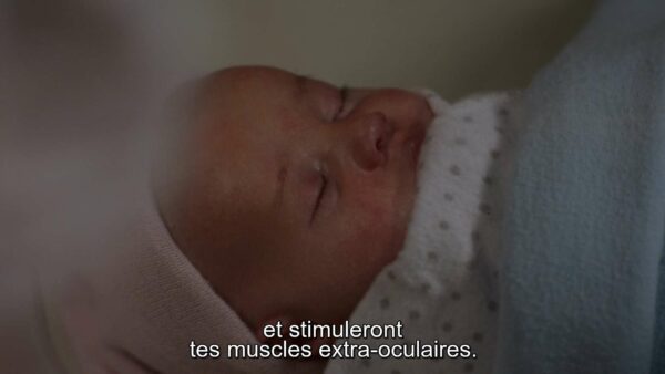 grey's anatomy, 17x17 questions bêtes