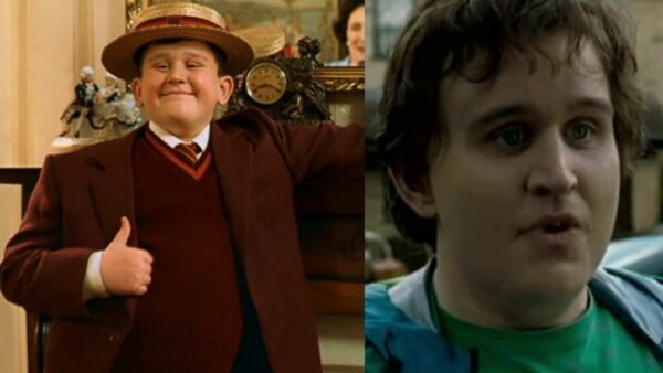 dudley Harry Potter