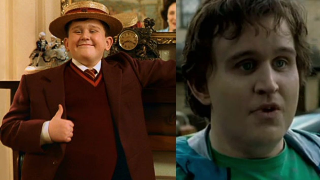 dudley Harry Potter