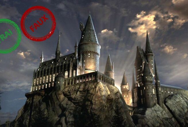 Harry Potter : impossible d&rsquo;avoir 10/10 à ce quiz vrai ou faux sur Poudlard