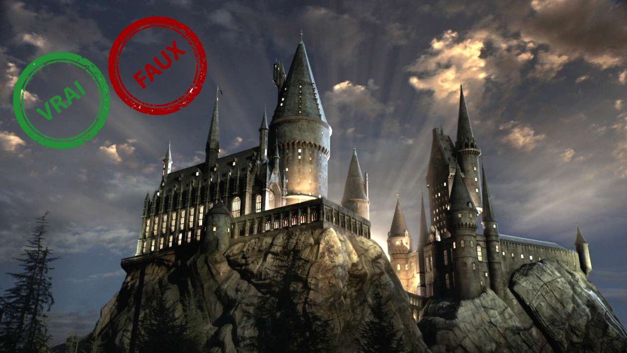 Harry Potter Impossible D avoir 10 10 Ce Quiz Vrai Ou Faux Sur Poudlard