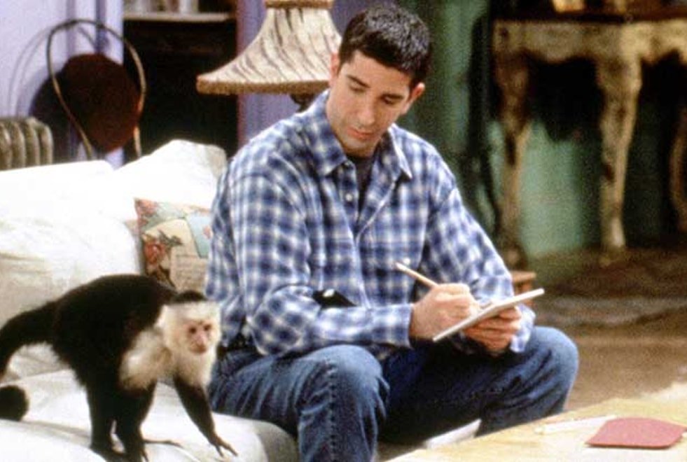 Friends : David Schwimmer était jaloux de Marcel selon le dresseur du singe