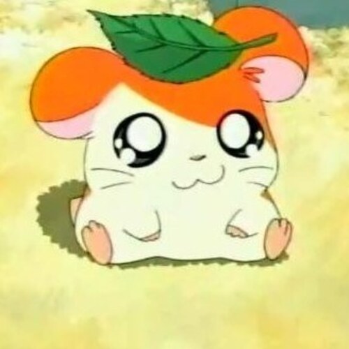 Hamtaro