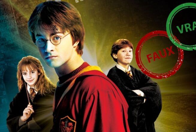 Impossible d’avoir 10/10 à ce quiz vrai ou faux sur Harry Potter et la Chambre des secrets
