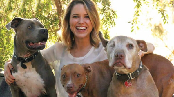 sophia-bush-chiens