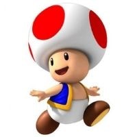 Toad 