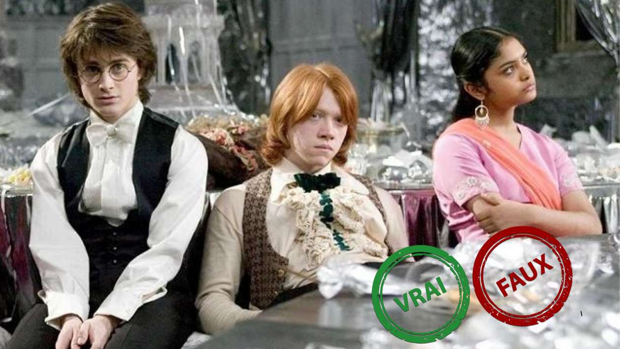 Impossible d'avoir 10/10 à ce quiz vrai ou faux sur Harry Potter et la Coupe de feu