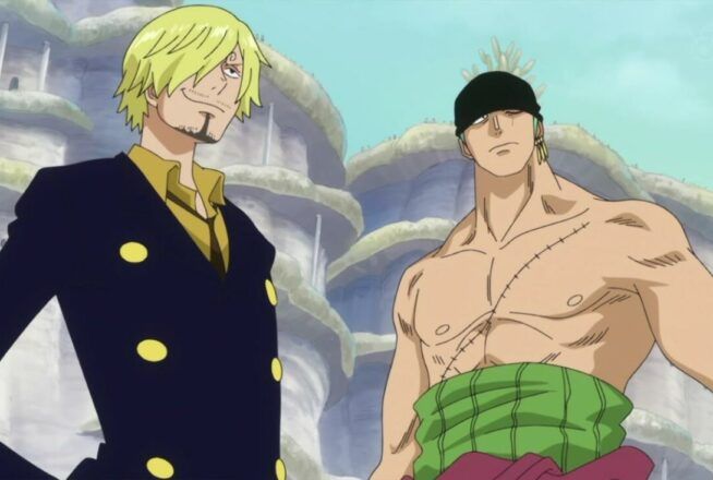 Quiz One Piece : connais-tu parfaitement le duo Zoro et Sanji ?