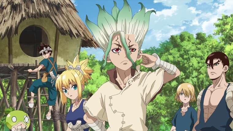 Dr Stone