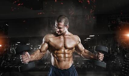 La force musculaire