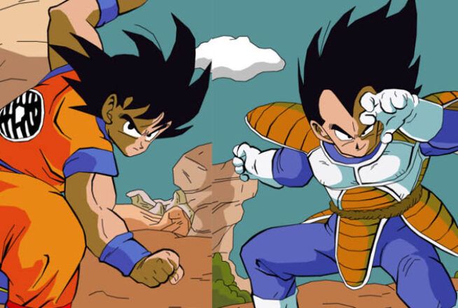 Sondage Dragon Ball Z : qui préfères-tu entre Goku et Vegeta ?