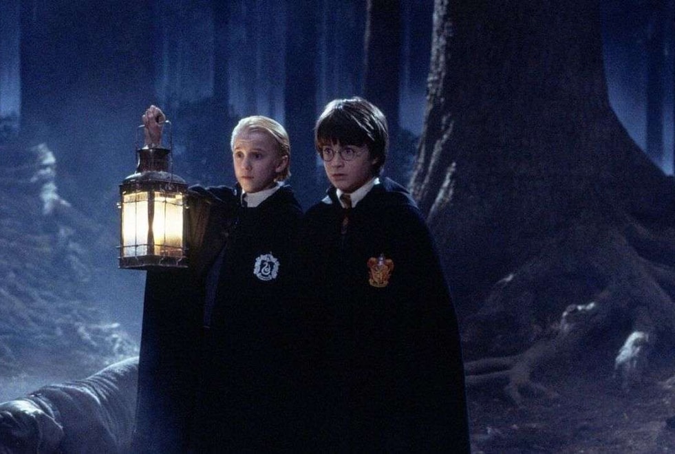 Minute cool : fans d’Harry Potter, vous pourrez bientôt faire une balade dans la Forêt Interdite