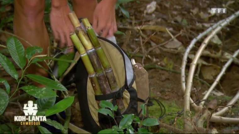 koh-lanta-manioc