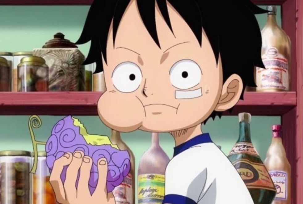 Quiz One Piece : combien d’utilisateurs de Paramécia peux-tu citer en un temps record ?