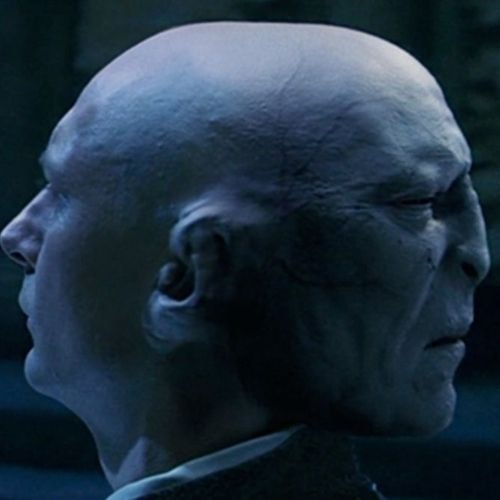 Partager sa tête avec Voldemort 