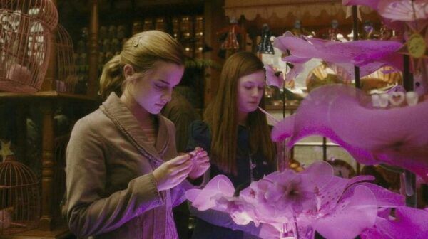Hermione et Ginny