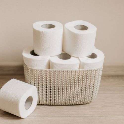 Des rouleaux de papier toilette