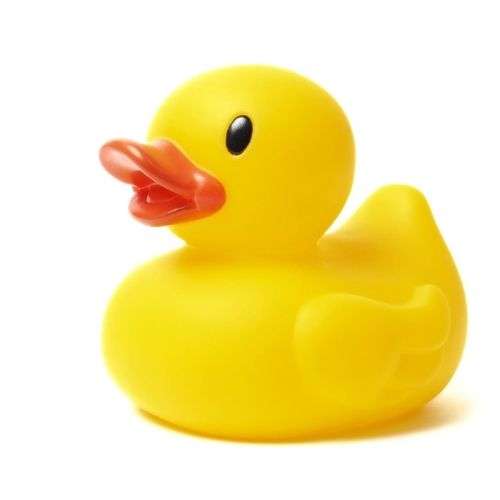 Un canard en plastique