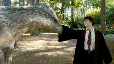 Quiz : seul un vrai fan de Harry Potter saura dire ces créatures magiques existent vraiment ou pas