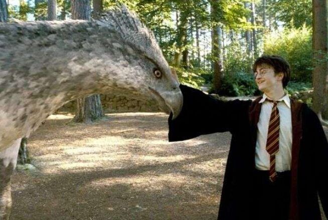 Quiz : seul un fan de Harry Potter saura si ces créatures magiques existent ou pas